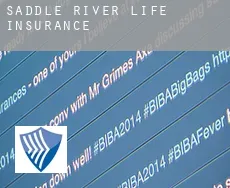 Saddle River  life insurance