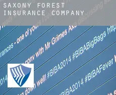 Saxony Forest  insurance company