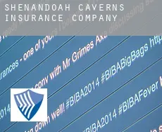 Shenandoah Caverns insurance company
