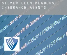 Silver Glen Meadows  insurance agents