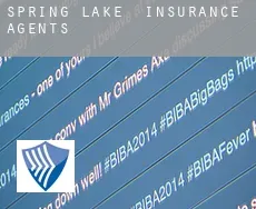 Spring Lake  insurance agents