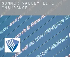 Summer Valley  life insurance