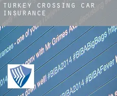 Turkey Crossing  car insurance