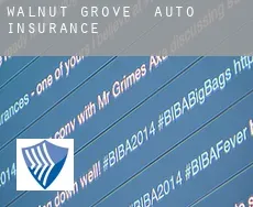 Walnut Grove  auto insurance