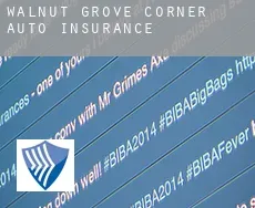 Walnut Grove Corner  auto insurance