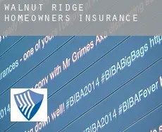 Walnut Ridge  homeowners insurance