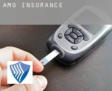 Amo  insurance