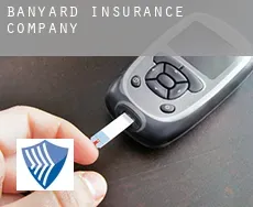 Banyard  insurance company