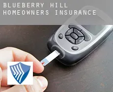 Blueberry Hill homeowners insurance