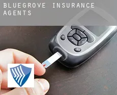 Bluegrove  insurance agents