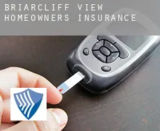 Briarcliff View  homeowners insurance