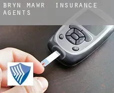 Bryn Mawr  insurance agents