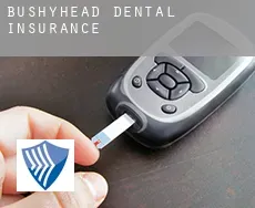 Bushyhead  dental insurance