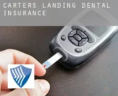 Carters Landing  dental insurance