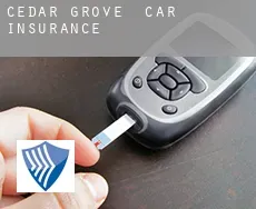 Cedar Grove  car insurance