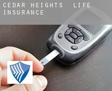 Cedar Heights  life insurance