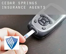 Cedar Springs  insurance agents