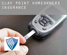 Clay Point homeowners insurance