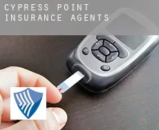 Cypress Point  insurance agents