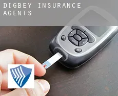 Digbey  insurance agents