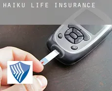 Ha‘ikū  life insurance