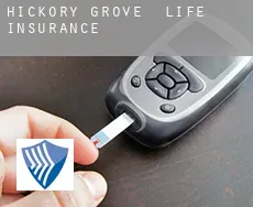 Hickory Grove life insurance