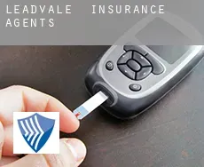 Leadvale  insurance agents