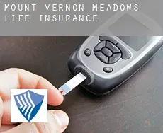 Mount Vernon Meadows life insurance