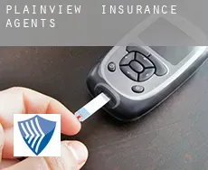 Plainview  insurance agents