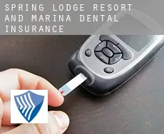 Spring Lodge Resort and Marina  dental insurance