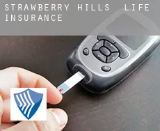 Strawberry Hills  life insurance