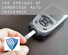 The Springs of Cambridge  auto insurance