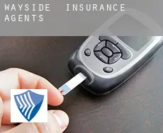 Wayside  insurance agents