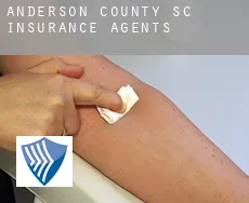 Anderson County  insurance agents