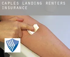 Caples Landing  renters insurance