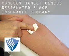 Conesus Hamlet  insurance company