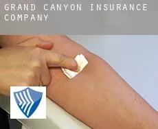 Grand Canyon  insurance company