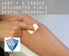 Lazy Y U  dental insurance