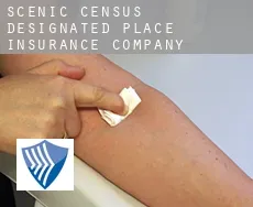 Scenic  insurance company