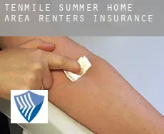 Tenmile Summer Home Area  renters insurance