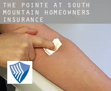 The Pointe at South Mountain  homeowners insurance