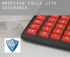 American Falls  life insurance