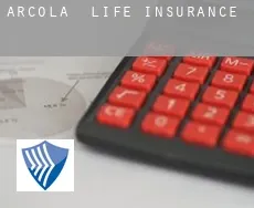 Arcola  life insurance