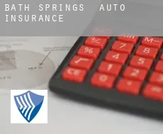 Bath Springs  auto insurance