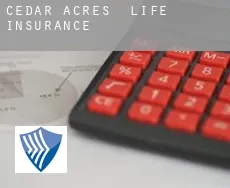 Cedar Acres  life insurance