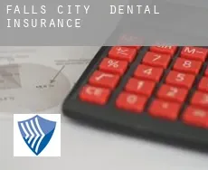 Falls City  dental insurance