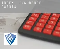 Index insurance agents