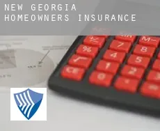 New Georgia  homeowners insurance