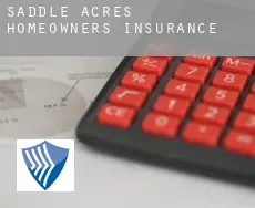 Saddle Acres  homeowners insurance
