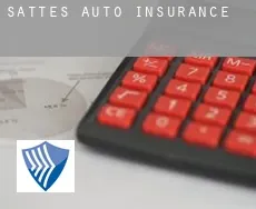 Sattes  auto insurance